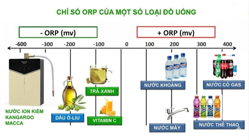 chỉ số orm trong nước uống