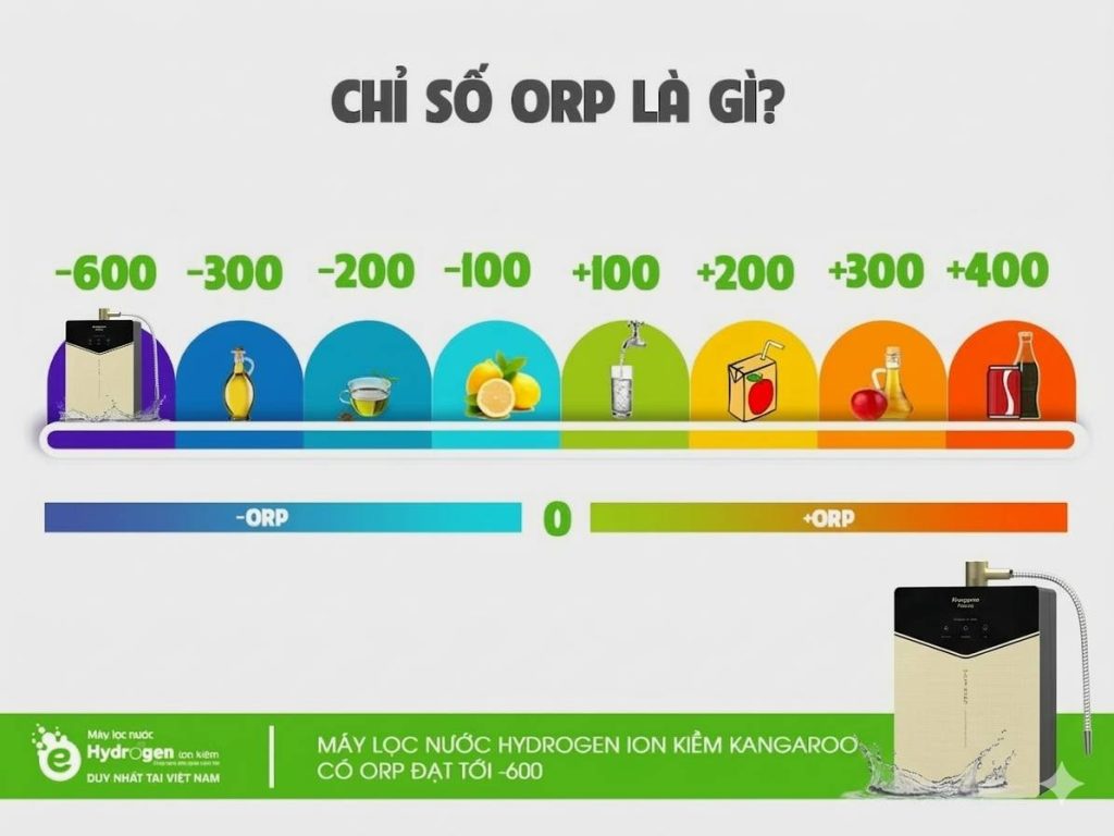 ORP trong nước là gì