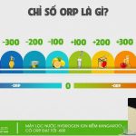 chỉ số orp là gì