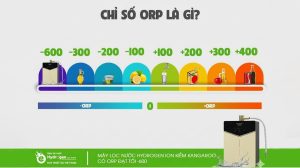 chỉ số orp là gì